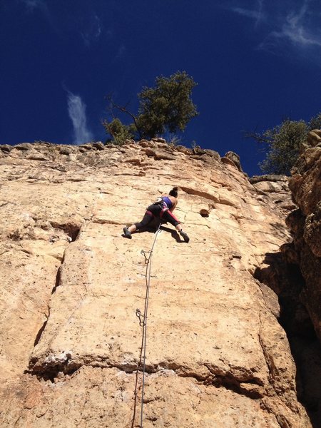 Meaghan cruises the route.