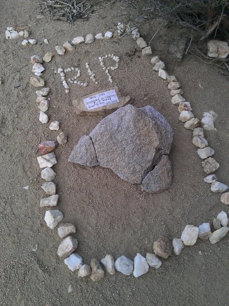 R.I.P. Suspended in Silence. This was the tribute for the left start I found last winter.
