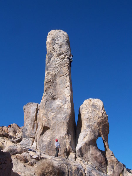 The Main Vein