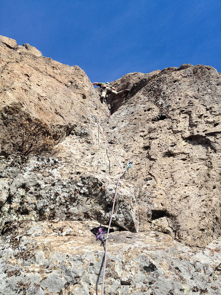Splitclimber climbing "Lichen It", a 5.8- crack climb at the Far Side