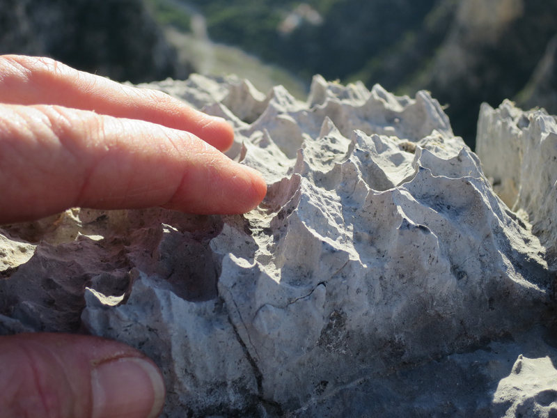 How sharp is the rock here? Gratefully not this sharp in most places