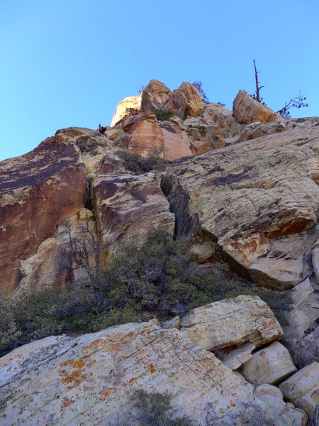 lots of options to the summit