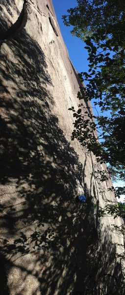 Climbs up the darker section of granite right of the lighter sections of rock. Photo gives you an idea as to the steepness of the route.