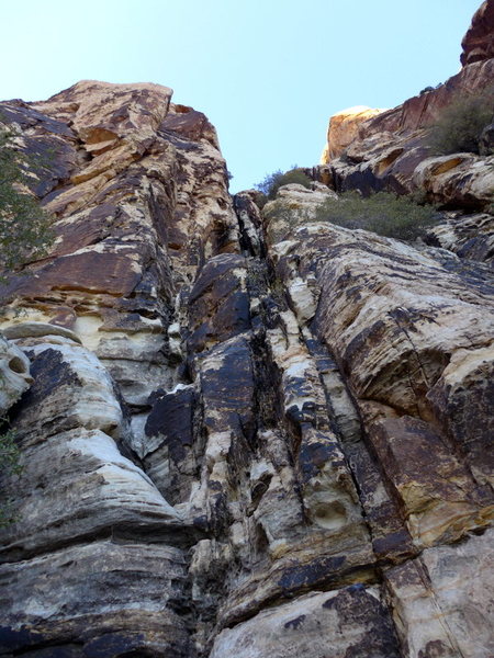 the gully