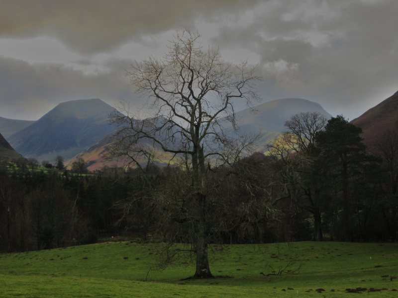 Newlands Valley with Hindsgarth and Robinson. Jan 19 2014 . No snow