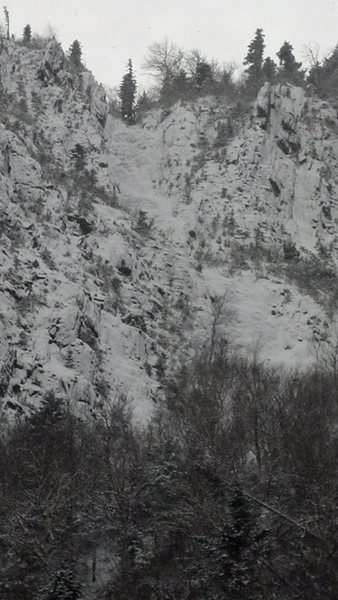 Parasol Gully 1/19/2014