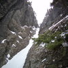 Looking up the Gully. The Ribbon. Ouray, Colorado Sat January 25th 2014.  Photo by Alan Ream