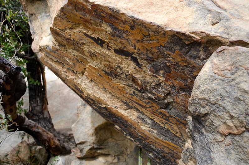 Detail of slickensides located at the base of Lower Gibraltar.