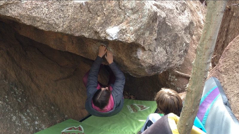 Emily Cole on the starting crimps for Tarzan.