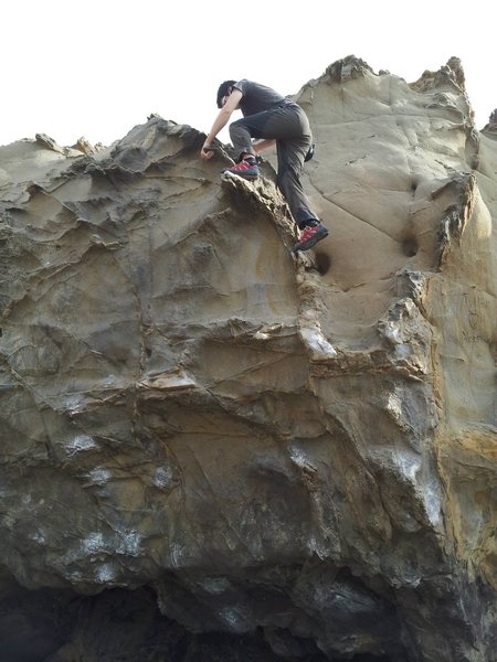 Friend-o topping out Tin Man.