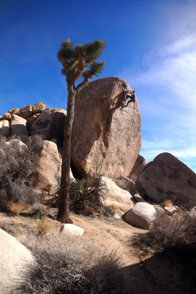a boulder ascent by Matt Lloyd. A fantastic, scary and committing line, don't forget how to get down...