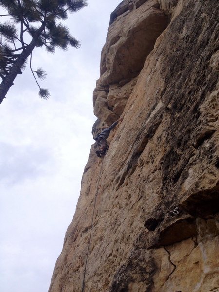 Sorum on the tech nasty bottom of Dickey