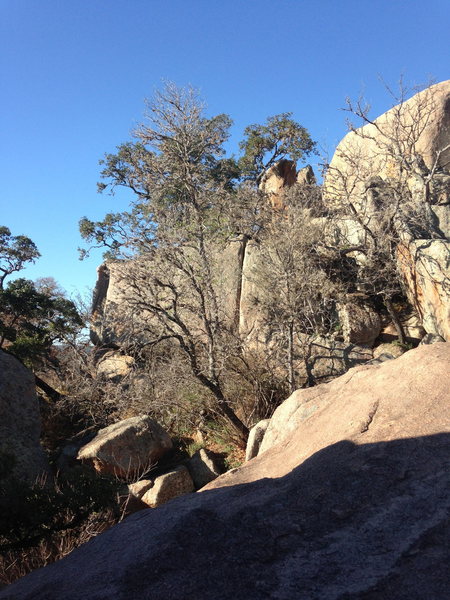 Forest Crack, as seen from the base of the Kingdom Boulder.
