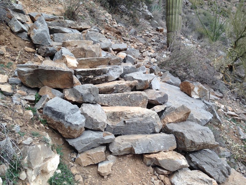 Did a lot of trail work this year at the Homestead. This is just one set of steps that is part of 69 new steps we did up to Tufa City. I'm very proud to be part of a (very small) group of Climbers that's not afraid of spending a little time and money at The Homestead. 