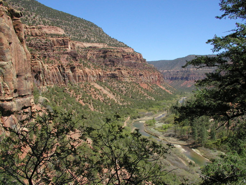 The Dolores River Canyon near Dove Creek, CO. Wingate sandstone lines this relatively tame (and dammed) Western Slope river.