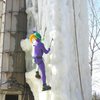 court jester climbing in 50 temps