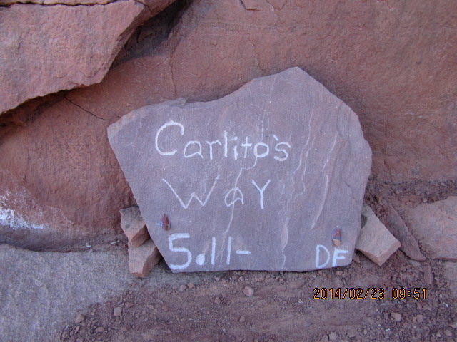 the plaque