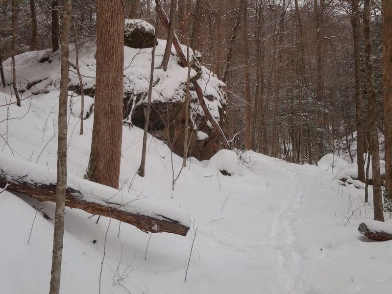 If coming from the Whittleton campground, turn left up the hill at this boulder (which is the second boulder before the trail dips to cross the stream) . Fallen trees on the ground generally point to the wall.