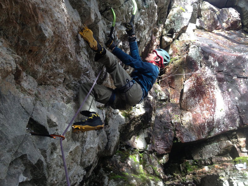 Ian Hanson leading White Russian