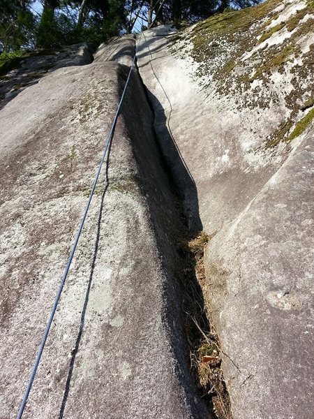 From the base looking up. Photo by Drew Brayshaw.