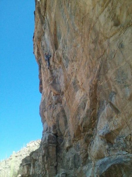 Josie Wodraska cranking on Repo Man.