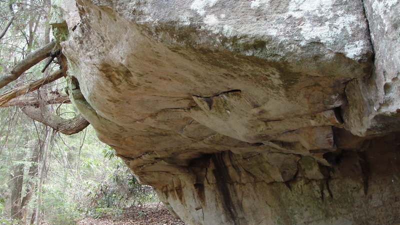 Adverse Conditions- V9.