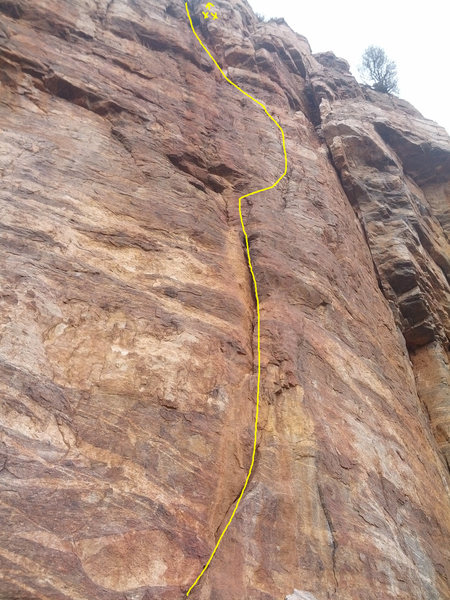 This is roughly the line that I took