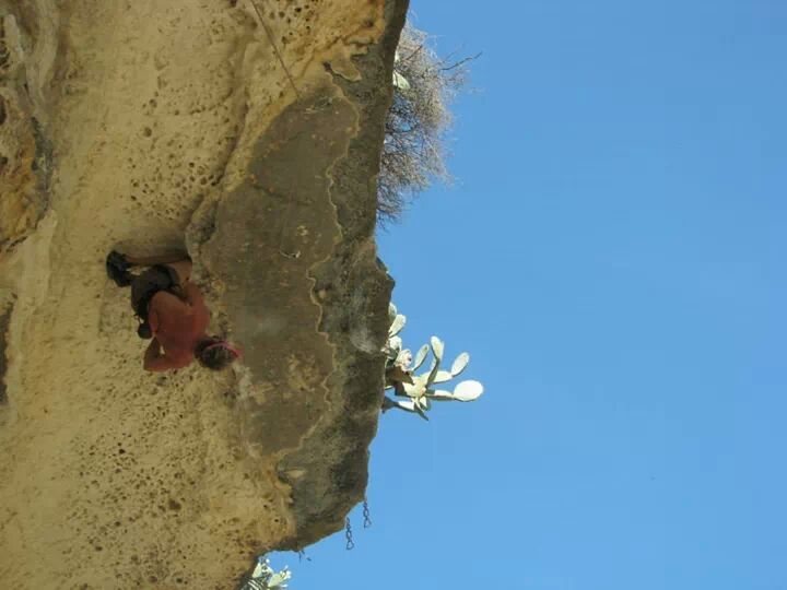 Knee bar, bat hang, and more...if you look really closely. (:
