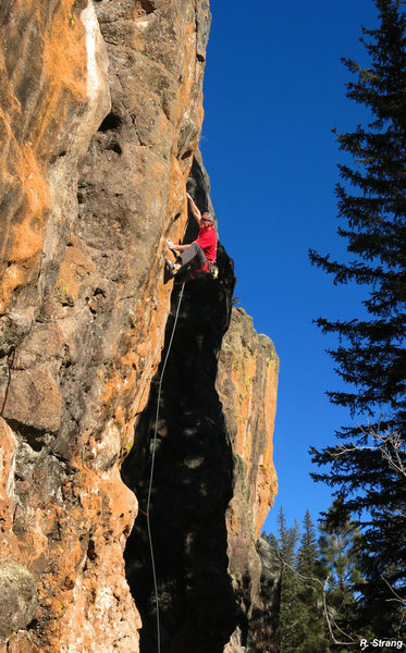 Ed up high in some golden light on<br>
Golden Years (5.13a)