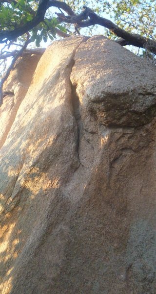 Beginner's Bitch