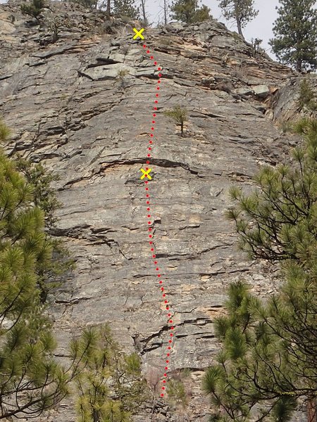 Therootytookus (upper face pitches)
