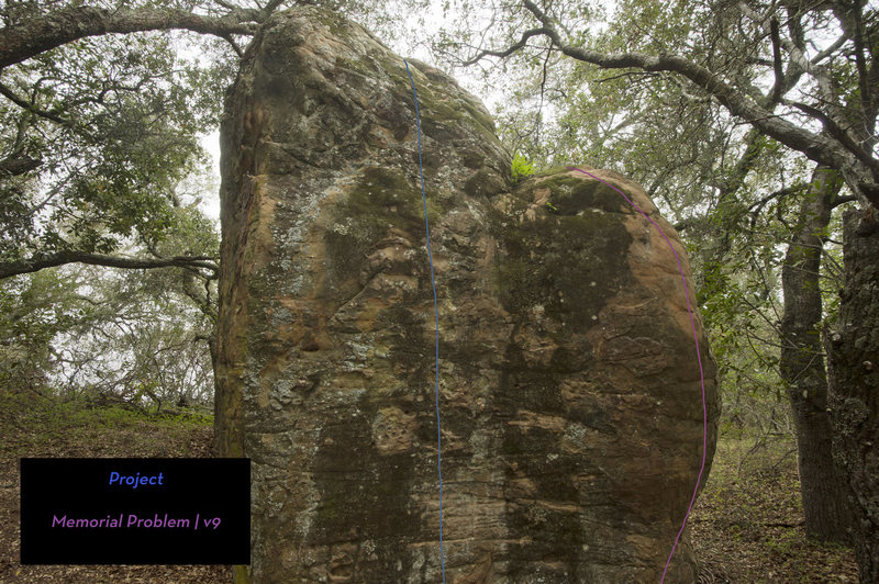 Possible crimp wall project needs MUCH cleaning.