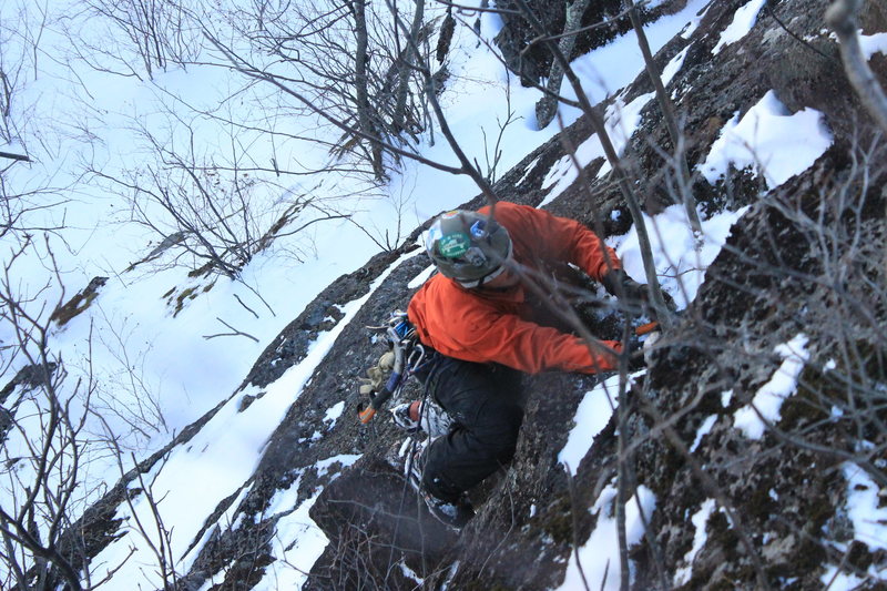 Plenty of frozen moss on this route.