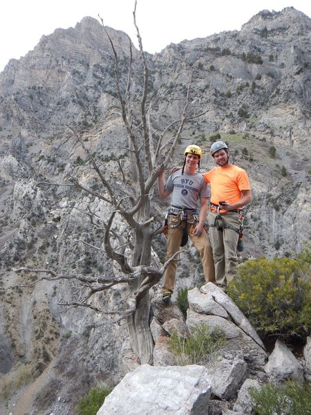 Above the third pitch by the big dead tree
