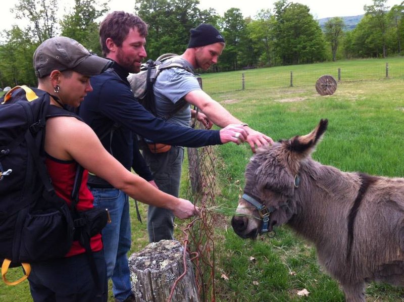 Camping at Rumney is affordable and you've got a petting zoo on your way off and on the grounds to the Crag.