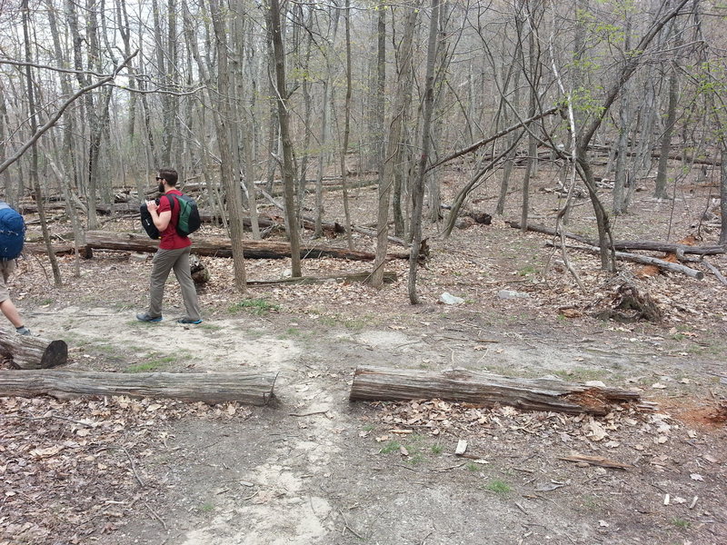 Where the trail from the radio tower meets the Appalachian Trail. If you're hiking in from the tower, turn left at this point and follow the white blazes to get to the crags.