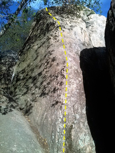Tree Arete