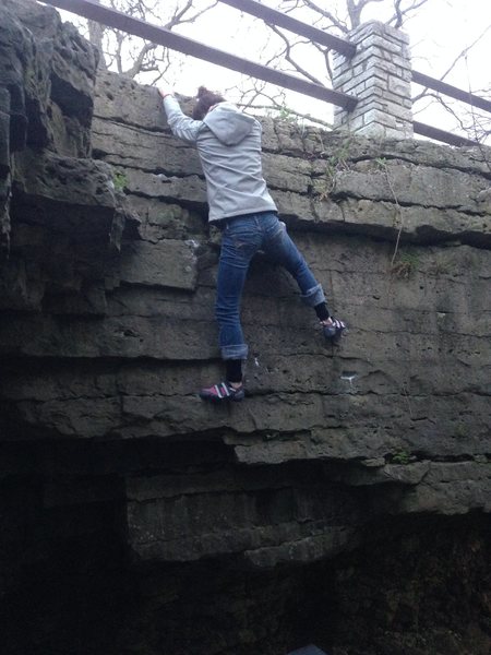 Lori getting near the top of Edible Berries.