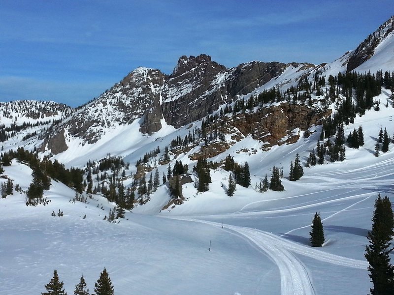 Camping Around Cottonwood Canyon