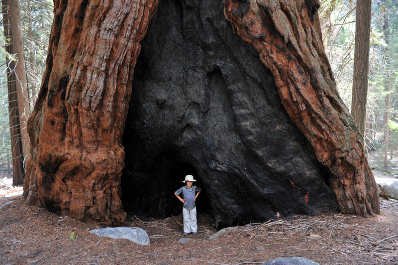 The Upper Kern River Valley is home to the southern-most stand of old-growth giant sequoias, making the Trail of a Hundred Giants an excellent rest-day activity.