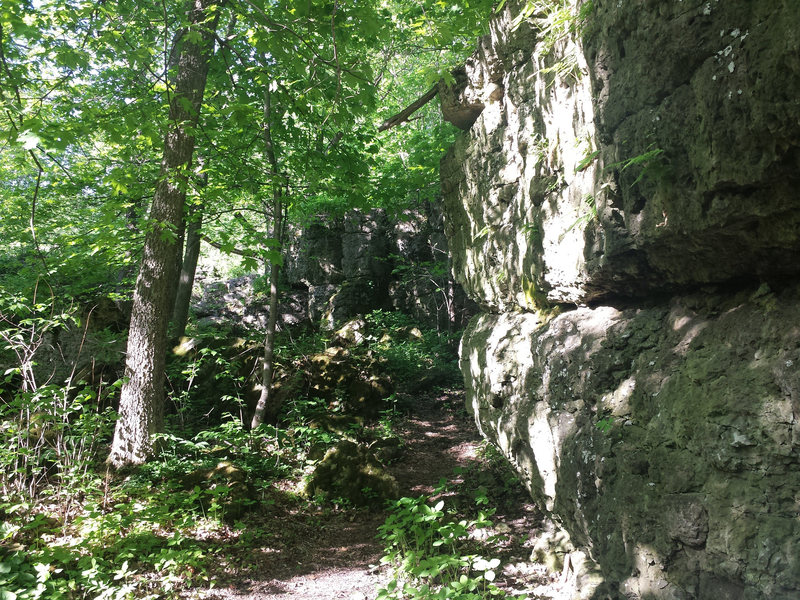One of the Southernmost sections of the escarpment. 