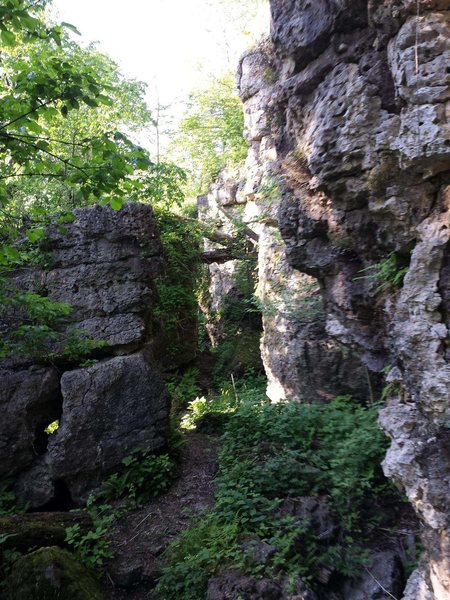 One of the trails that cuts through the Southern section of the escarpment. The Northern section is one continuous wall, while the Southern bit is ripe for bouldering, with the rock breaking into numerous crevices large enough to walk through.