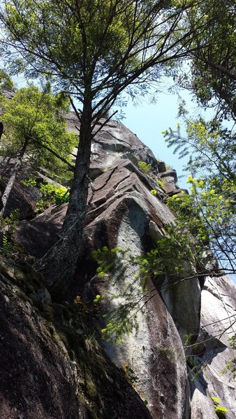 Accidental Discharge chases the flakes on the arete.