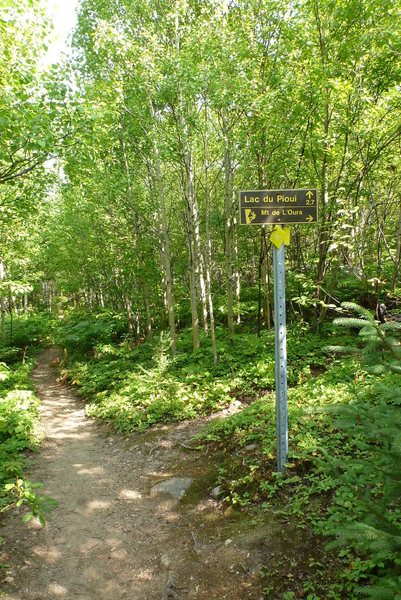 Trail