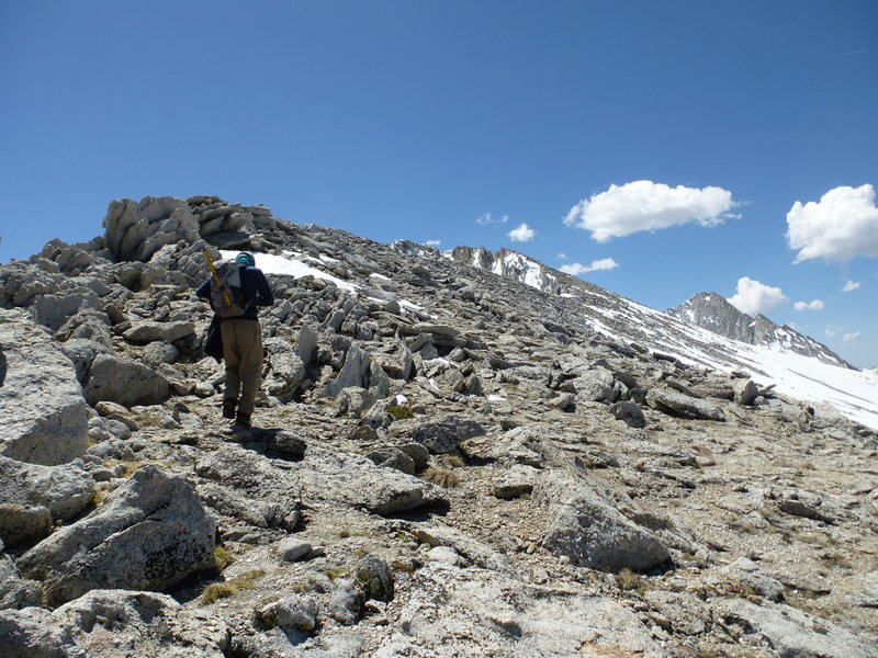 Above the climbing sections of the NW Ridge, now on the southwest-facing slopes with summit in view still pretty far away. Peak to right is Conness. The climbing ended too soon.