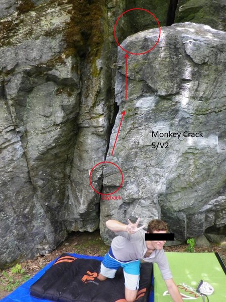 Monkey Crack V1-2. Use the tree to get down!