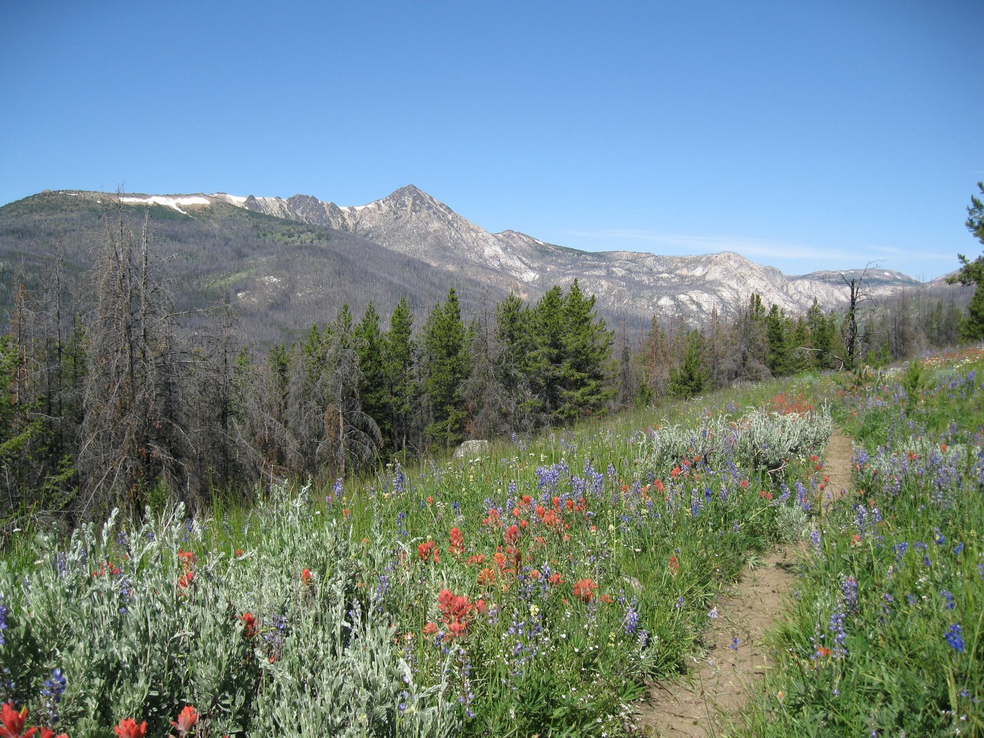 Windy Peak from the SE (near the Iron Gate Trailhead)