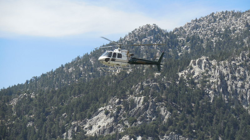 The Sheriff's Dept. helicopter surveying climbers on Lilly Rock after someone dislodged a huge rock off the East Lark route and a climber called 911 to report it.