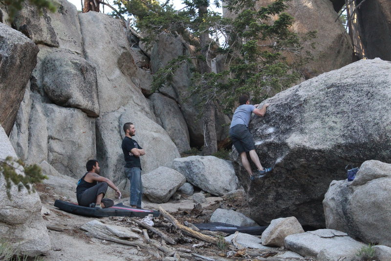 Nathan getting his hump on