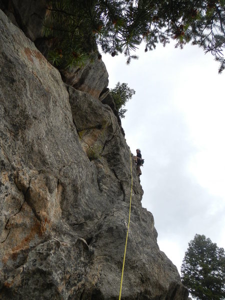 Natasha leads 5.9.